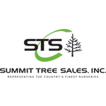 summitt tree logo 150
