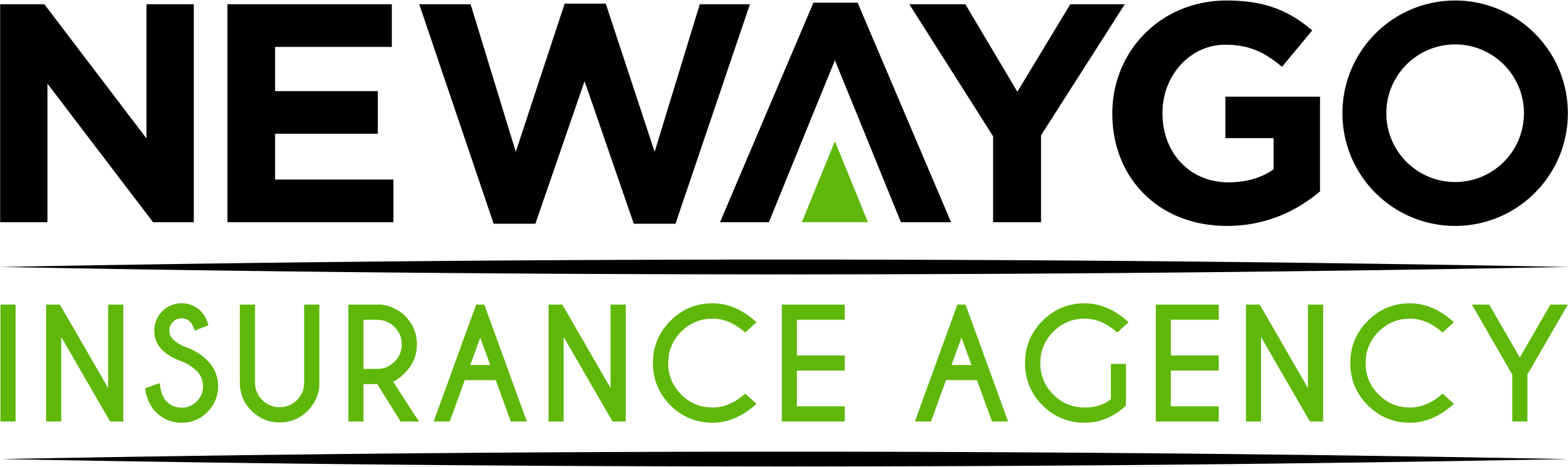 Newaygo-Insurance-Agency-Logo-Transparent-Background